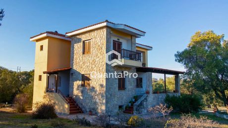 Βίλλα 204τ.μ. για πώληση-Κασσάνδρα » Άφυτος