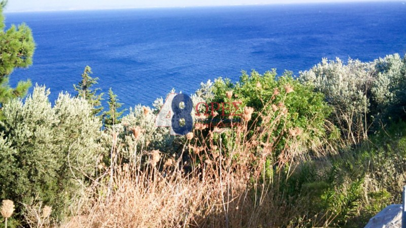 Οικόπεδο 6.300 τ.μ. προς πώληση, Ομηρούπολη