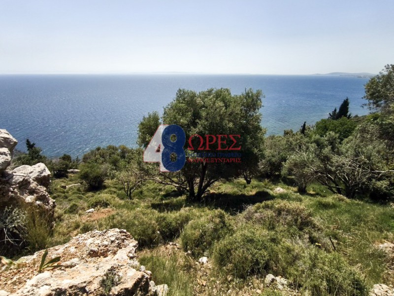 Οικόπεδο 6.300 τ.μ. προς πώληση, Ομηρούπολη