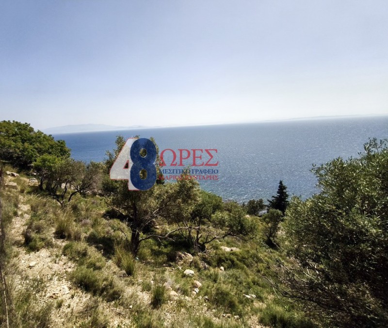 Οικόπεδο 6.300 τ.μ. προς πώληση, Ομηρούπολη