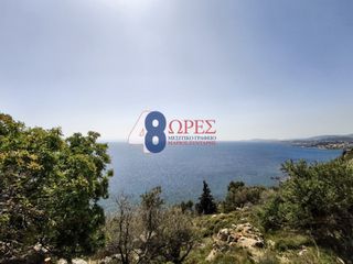 Οικόπεδο 6.300 τ.μ. για πώληση