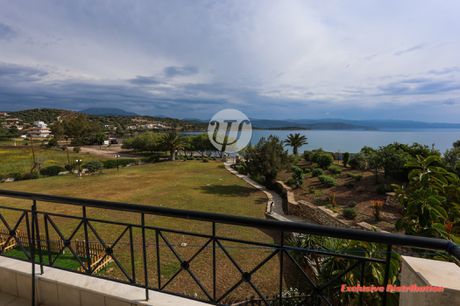 Διαμέρισμα 56 τ.μ. για πώληση
