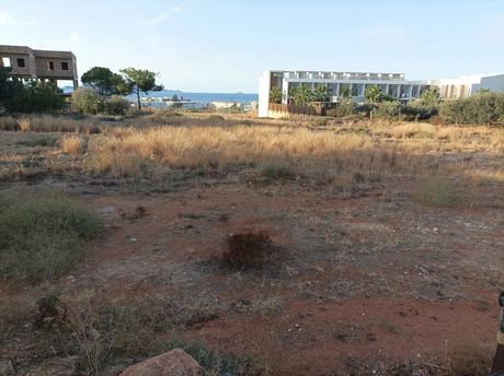 Αγροτεμάχια 3.100 τ.μ. για ενοικίαση