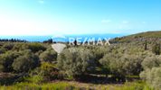 Αγροτεμάχια 1.591,65τ.μ. για πώληση-Λευκάδα » Περιοχη χώρας