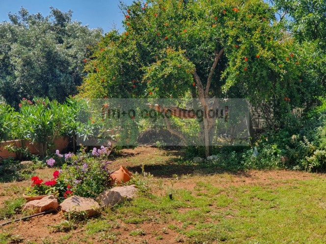 Μονοκατοικία 195 τ.μ. πρός πώληση, Αττική - Υπόλοιπο, Ανάβυσσος