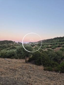 Αγροτεμάχια 500 τ.μ. για πώληση