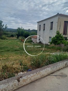 Οικόπεδο 1.000 τ.μ. για πώληση