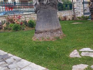 Διαμέρισμα 105 τ.μ. προς ενοικίαση, Άγιος Βασίλειος Ρίου-thumb-28