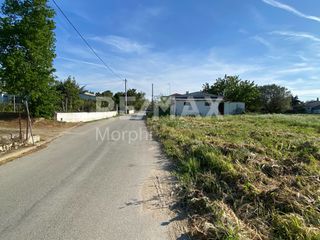 Οικόπεδο 1.250 τ.μ. για πώληση, Ν. Ροδόπης, Κομοτηνή-thumb-3