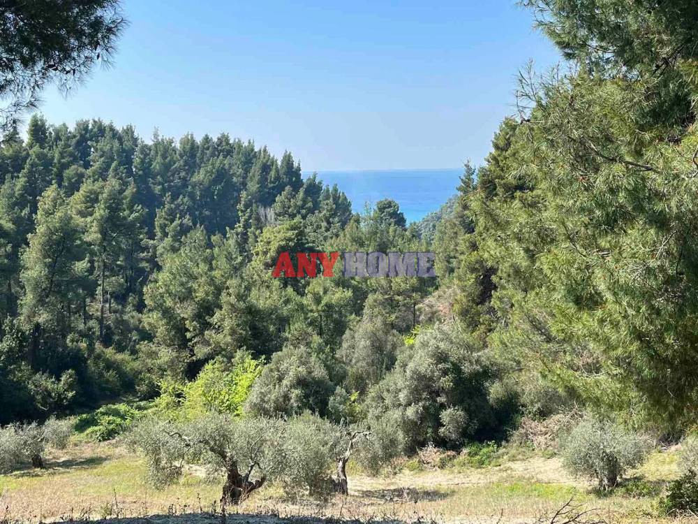 Αγροτεμάχια 7.000 τ.μ. προς πώληση, Φούρκα Κασσάνδρας