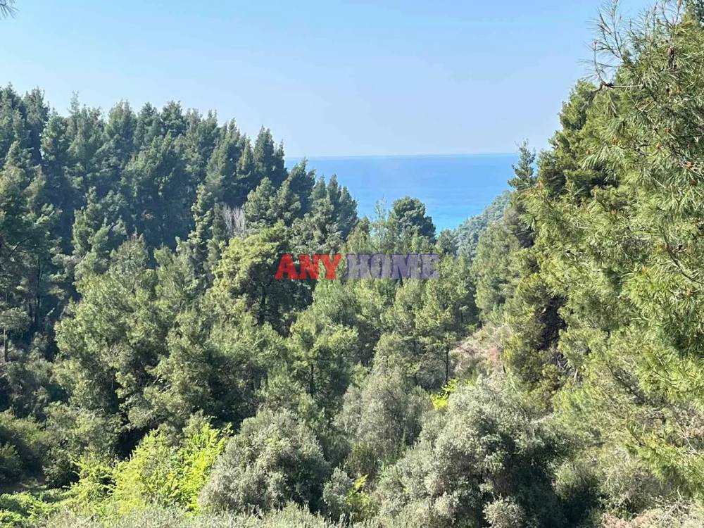 Αγροτεμάχια 7.000 τ.μ. προς πώληση, Φούρκα Κασσάνδρας