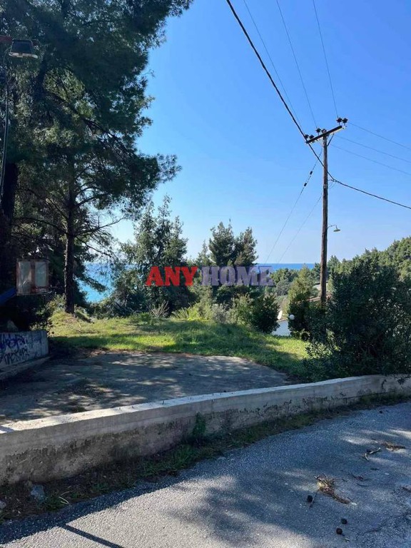 Αγροτεμάχια 7.000 τ.μ. προς πώληση, Φούρκα Κασσάνδρας