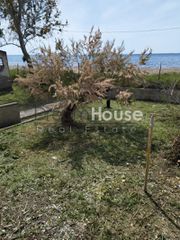 Μονοκατοικία 144 τ.μ. προς πώληση, Παραλία Αχαΐας-thumb-18