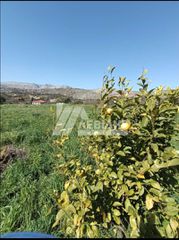 Οικόπεδο 2.650 τ.μ. για πώληση, Ν. Χίου, Χίος-thumb-6