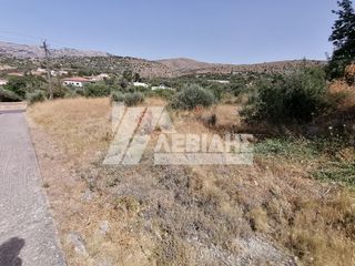 Οικόπεδο 2.650 τ.μ. για πώληση, Ν. Χίου, Χίος-thumb-3