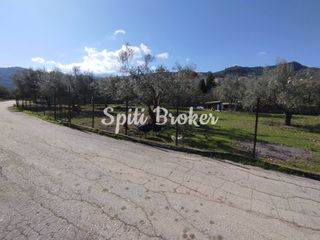 Βιοτεχνικός χώρος 334 τ.μ. για ενοικίαση, Αχαΐα, Ακράτα-thumb-21