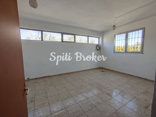 Βιοτεχνικός χώρος 334 τ.μ. για ενοικίαση, Αχαΐα, Ακράτα-thumb-10