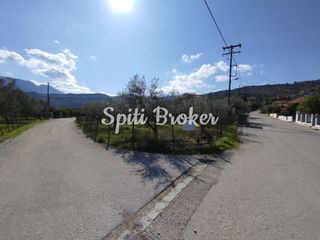 Βιοτεχνικός χώρος 334 τ.μ. για ενοικίαση, Αχαΐα, Ακράτα-thumb-22