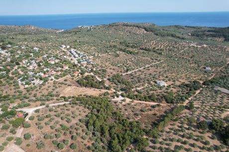 Αγροτεμάχια 5.370τ.μ. για πώληση-Θάσος » Αστρίδα