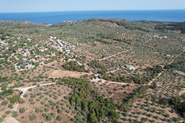 Parcel 5.370 sqm for sale, Kavala Prefecture, Thasos