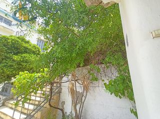 Μονοκατοικία 113 τ.μ. για πώληση, Πειραιάς, Καστέλλα-thumb-38
