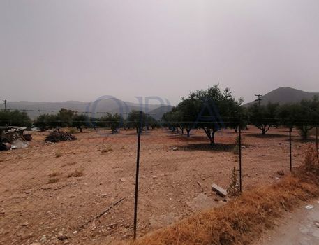 Οικόπεδο 970τ.μ. για ενοικίαση-Πάτρα » Πράτσικα