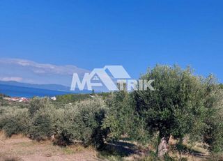 Οικόπεδο 1.375 τ.μ. για πώληση, Χαλκιδική, Παλλήνη-thumb-3