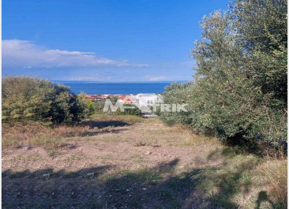 Οικόπεδο 1.375 τ.μ. για πώληση, Χαλκιδική, Παλλήνη