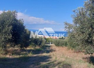Οικόπεδο 1.375 τ.μ. για πώληση, Χαλκιδική, Παλλήνη-thumb-2