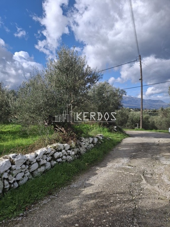 Οικόπεδο 1.914 τ.μ. προς πώληση, Εξώπολη