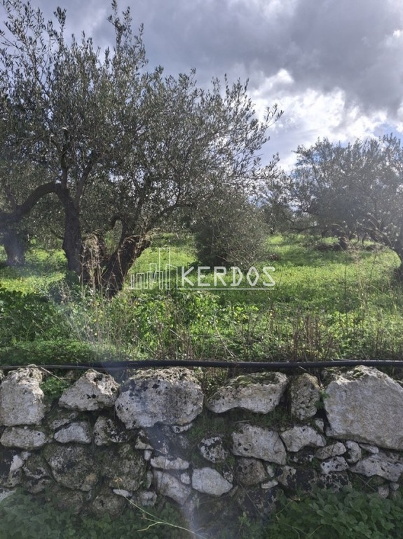 Οικόπεδο 1.914 τ.μ. προς πώληση, Εξώπολη
