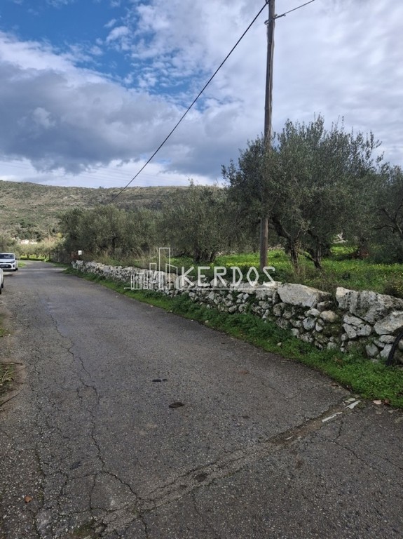 Οικόπεδο 1.914 τ.μ. προς πώληση, Εξώπολη