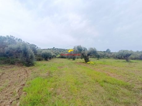 Αγροτεμάχια 4.030τ.μ. για πώληση-Κασσάνδρα » Καλάνδρα
