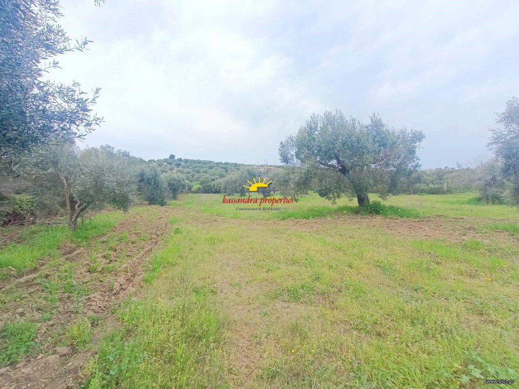 Αγροτεμάχια 4.030 τ.μ. πρός πώληση, Χαλκιδική, Κασσάνδρα