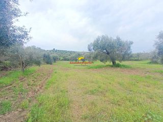 Αγροτεμάχια 4.030 τ.μ. προς πώληση, Καλάνδρα-thumb-3