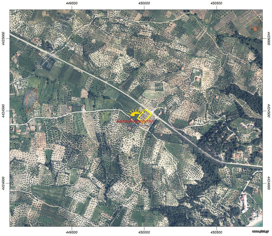 Αγροτεμάχια 4.030 τ.μ. πρός πώληση, Χαλκιδική, Κασσάνδρα