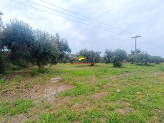 Αγροτεμάχια 4.030 τ.μ. προς πώληση, Καλάνδρα-thumb-6