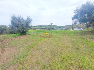 Αγροτεμάχια 4.030 τ.μ. προς πώληση, Καλάνδρα-thumb-9