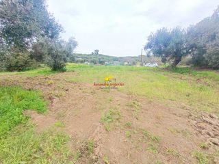 Αγροτεμάχια 4.030 τ.μ. προς πώληση, Καλάνδρα-thumb-11