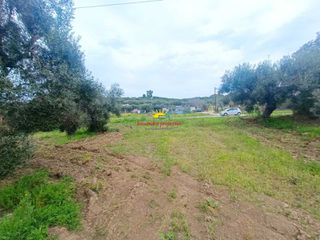 Αγροτεμάχια 4.030 τ.μ. προς πώληση, Καλάνδρα-thumb-12