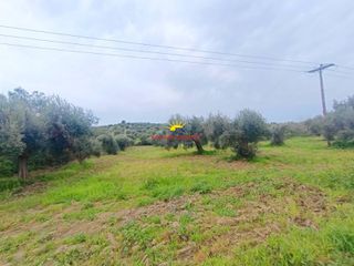 Αγροτεμάχια 4.030 τ.μ. προς πώληση, Καλάνδρα-thumb-14