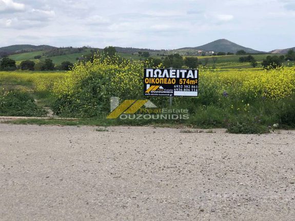 Land plot 574 sqm for sale, Trikala Prefecture, Chasia