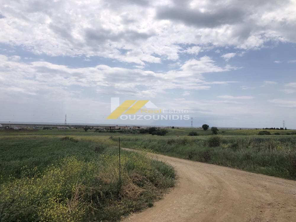 Αγροτεμάχια 5.000 τ.μ. πρός πώληση, Εβρος, Αλεξανδρούπολη