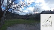 Οικόπεδο 2.439τ.μ. για πώληση-Καρπενήσι