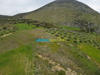 Αγροτεμάχια 9.000 τ.μ. για πώληση, Αργολίδα, Μυκήνες-thumb-5