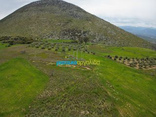 Αγροτεμάχια 9.000 τ.μ. για πώληση, Αργολίδα, Μυκήνες-thumb-3