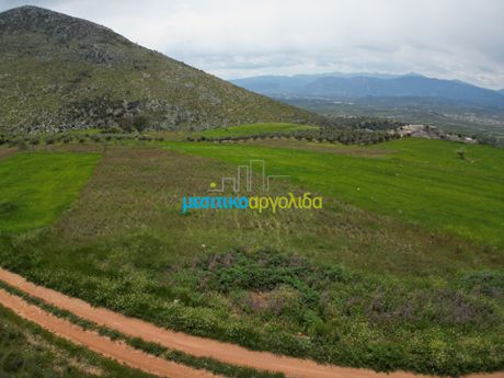 Αγροτεμάχια 9.000 τ.μ. για πώληση
