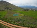 Parcel 9.000sqm for sale-Mycenae