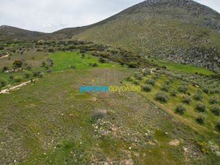 Αγροτεμάχια 9.000 τ.μ. για πώληση, Αργολίδα, Μυκήνες-thumb-6