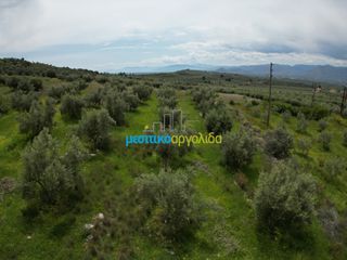 Αγροτεμάχια 5.500 τ.μ. για πώληση, Αργολίδα, Μυκήνες-thumb-13